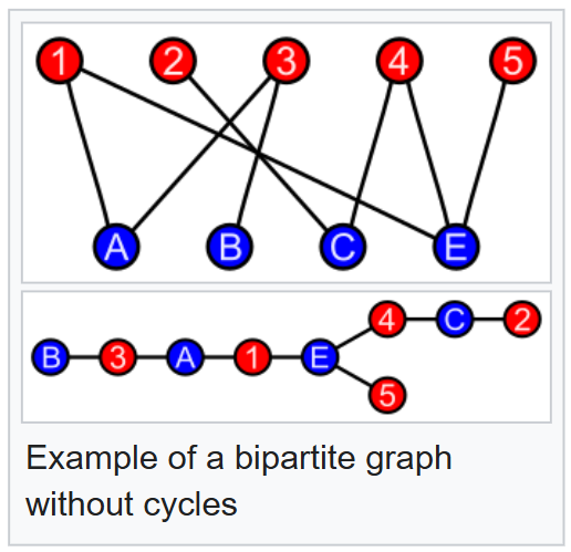 Example of a bipartite graph without cycles.png|400