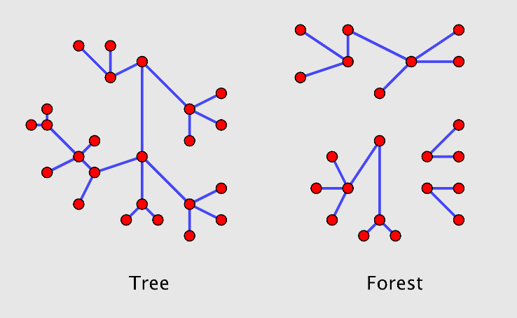 Tree Forest.png|500